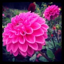 2013-09-15 13.34.54-2