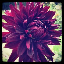 2013-09-15 13.36.45-1