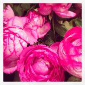 2014-04-16 17.02.15-1