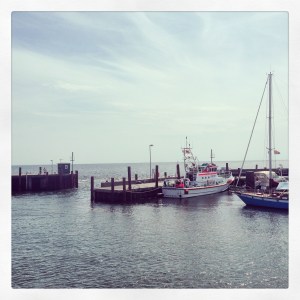 2014-07-25 12.31.39-1