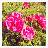 2014-08-07 18.41.39-1